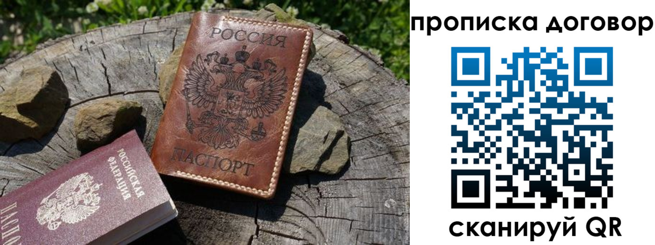 временная регистрация гарантия в Ясном